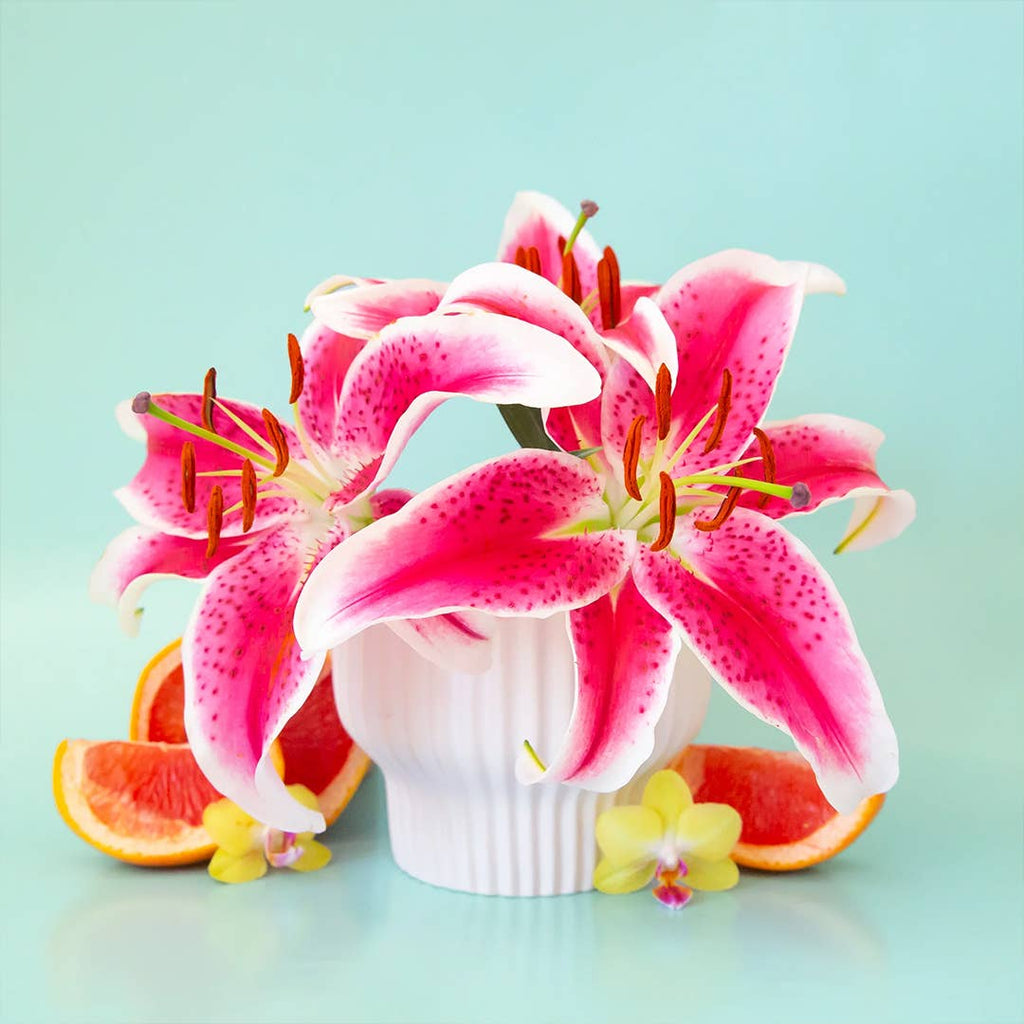 Presley Pedestal Vase | White