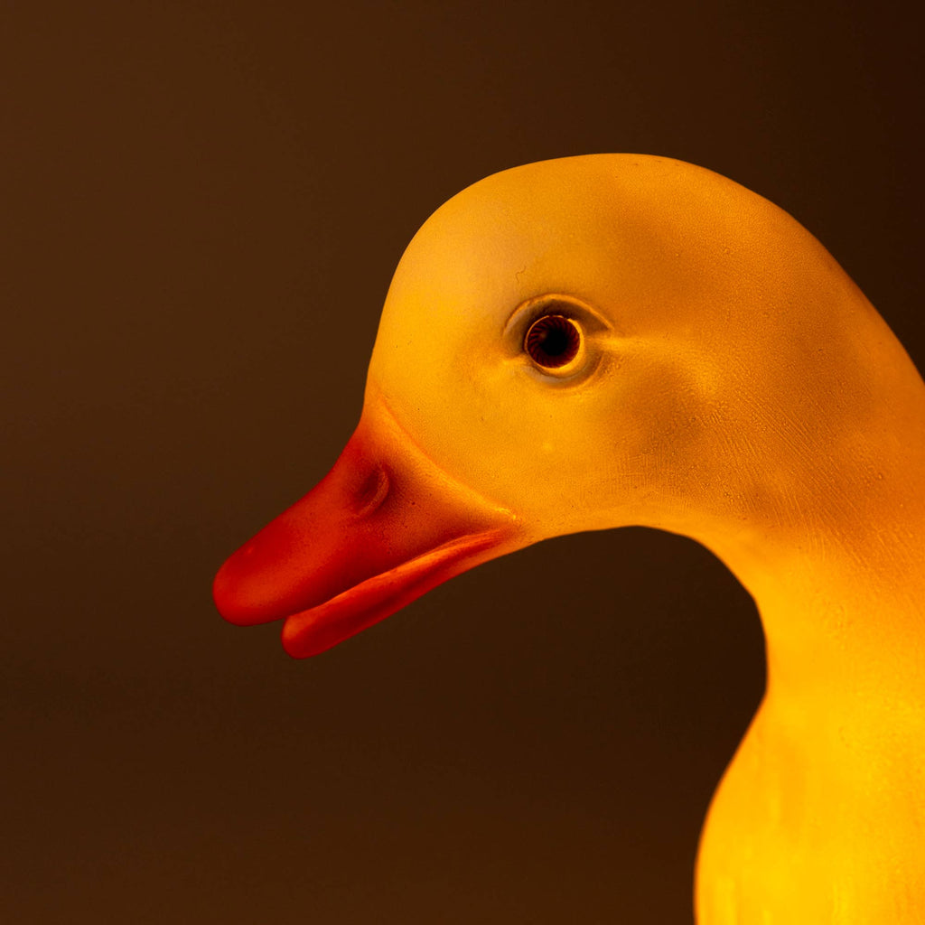 Duck w/ Plug