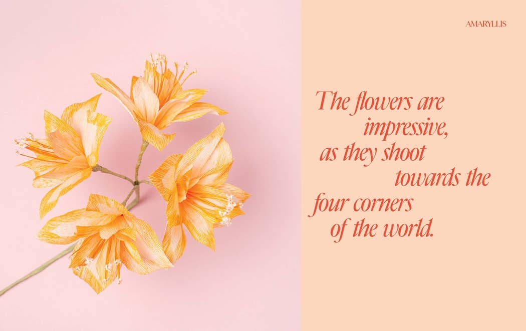 Paper Flowers