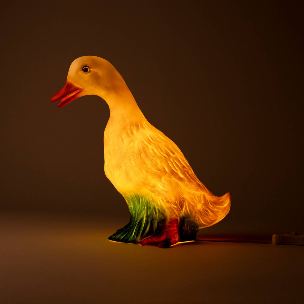 Duck w/ Plug
