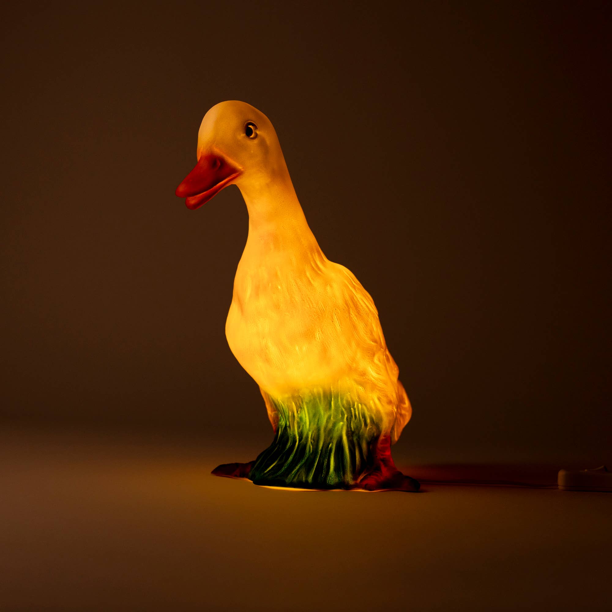 Duck w/ Plug