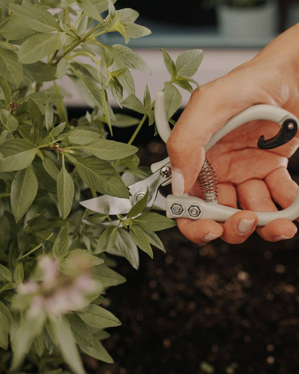 Professional Garden Shears – Ergonomic & Durable
