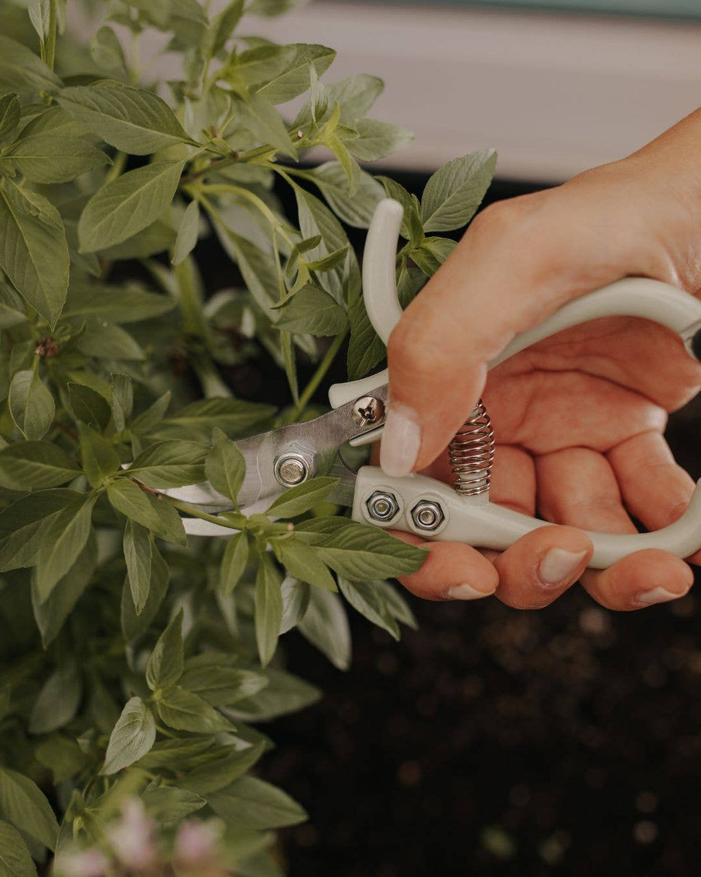 Professional Garden Shears – Ergonomic & Durable