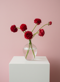 Valentine’s Day Ranunculus Bouquet