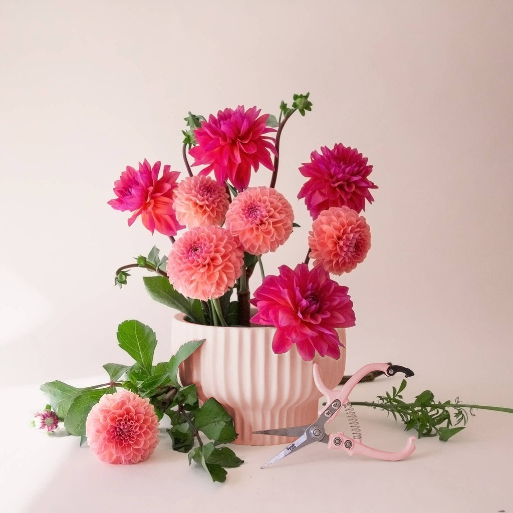 Presley Pedestal Vase | Ballerina
