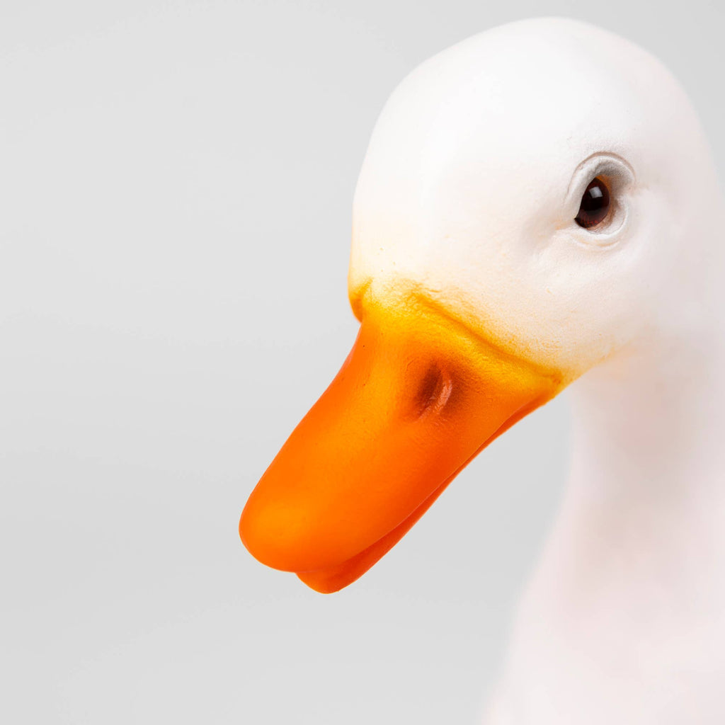 Duck w/ Plug